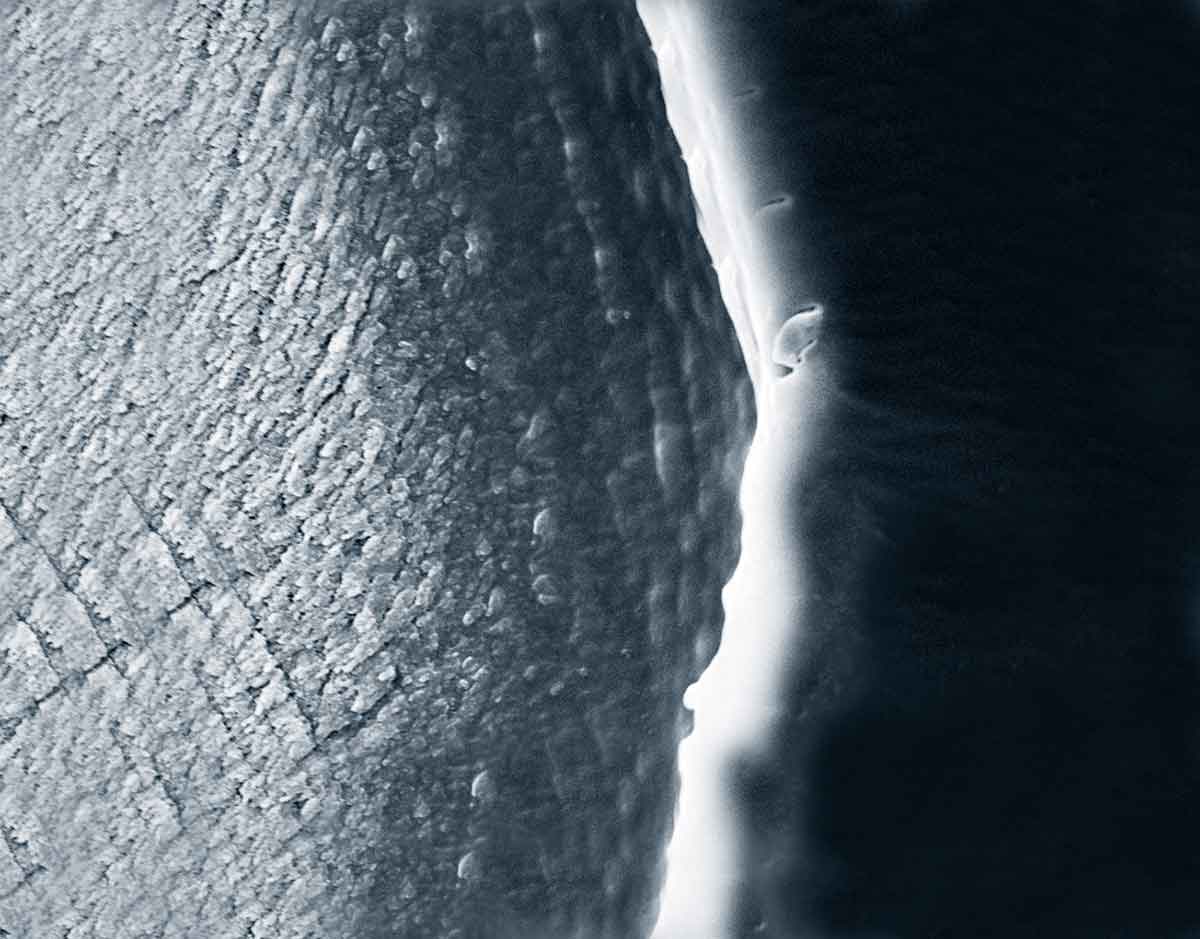 https://7thioschile2023.cl/wp-content/uploads/2022/12/key-aspects-in-otolith-and-calcified-tissues-formation-and-composition.jpg