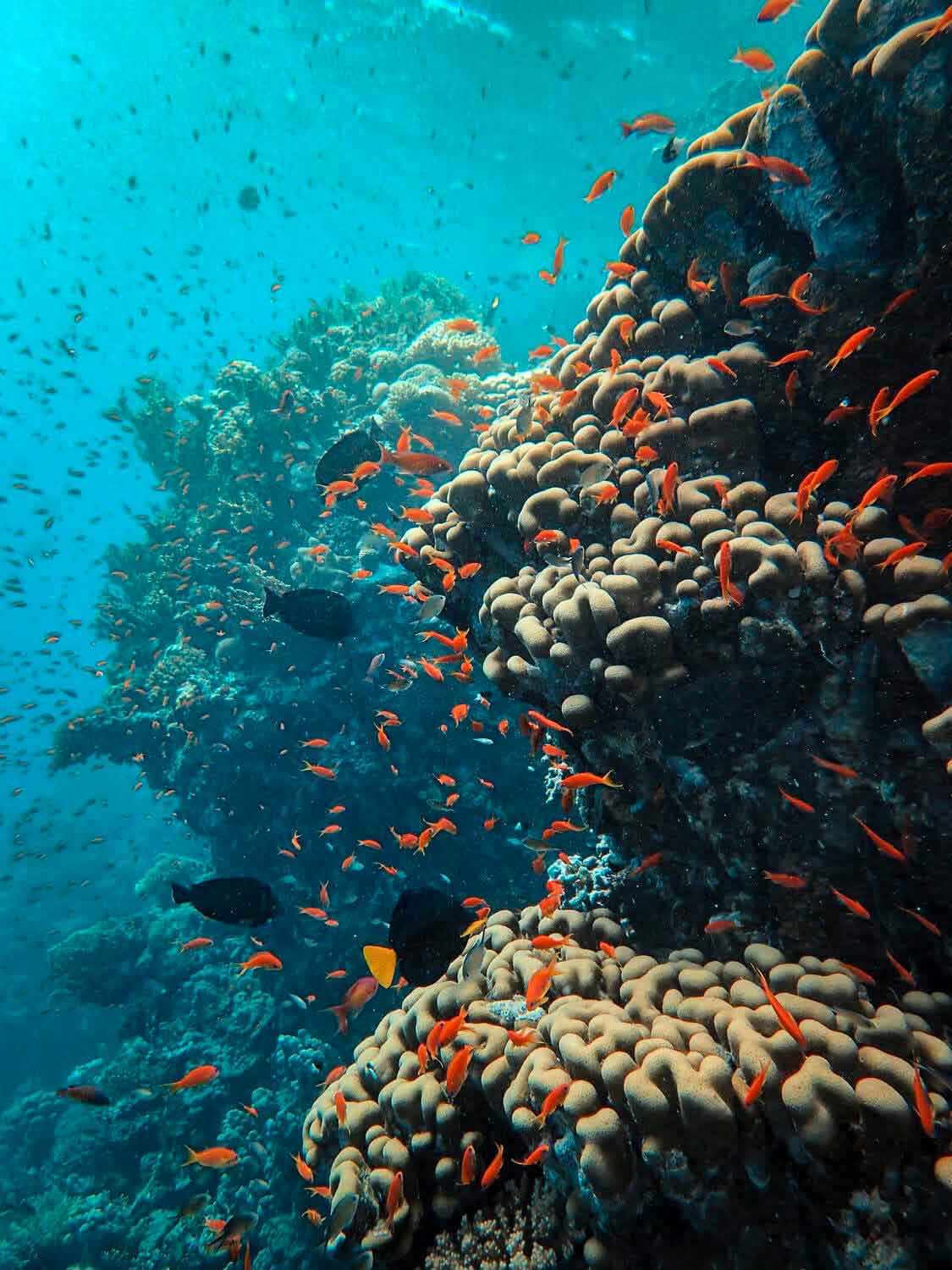 https://7thioschile2023.cl/wp-content/uploads/2022/12/past-and-recent-aquatic-ecosystem-ecology-and-climate-change-indicators.jpg